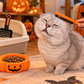 SUNLU Halloween-Filament-Paket (🎃 Kostenloses Halloween-Modell dazu erhalten)